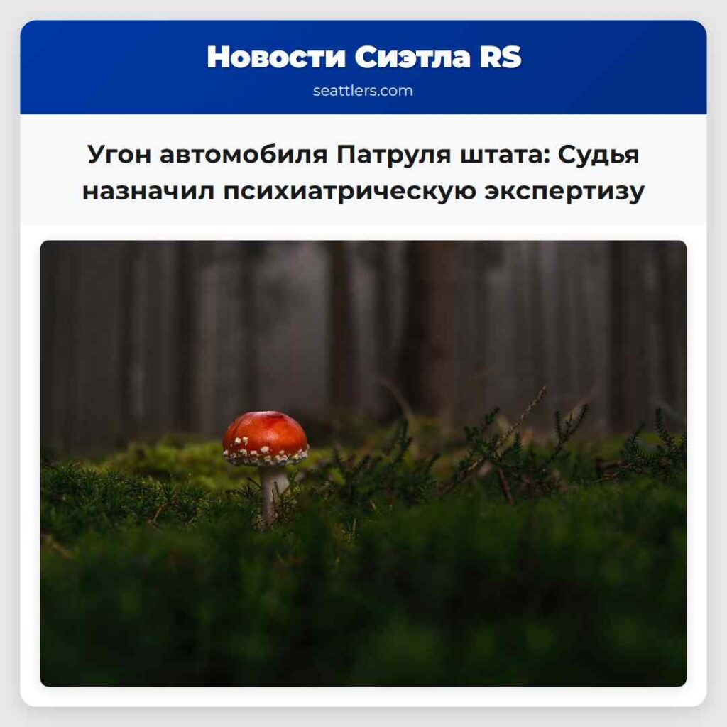 Угон автомобиля Патруля штата: Судья назначил