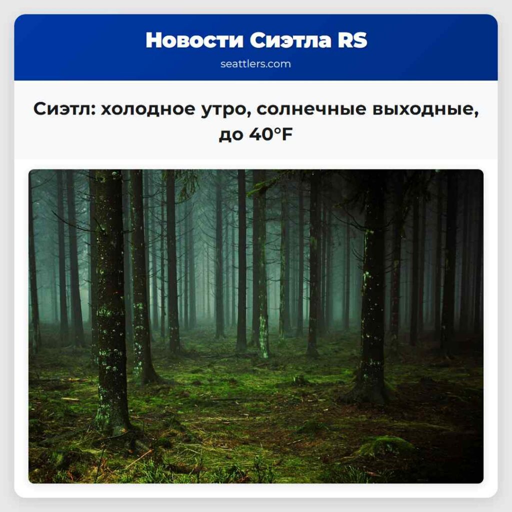 Сиэтл: холодное утро, солнечные выходные, до 40°F