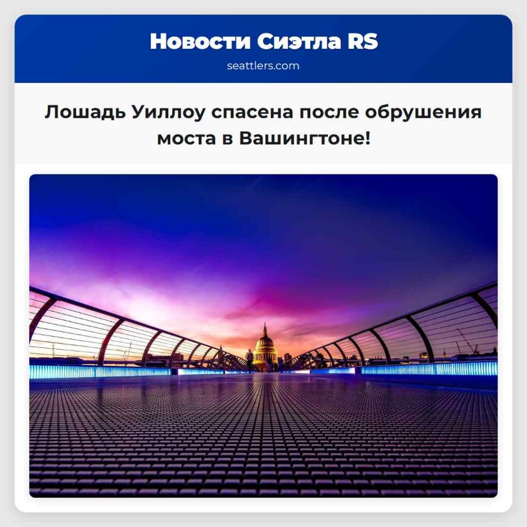 Лошадь Уиллоу спасена после обрушения моста в