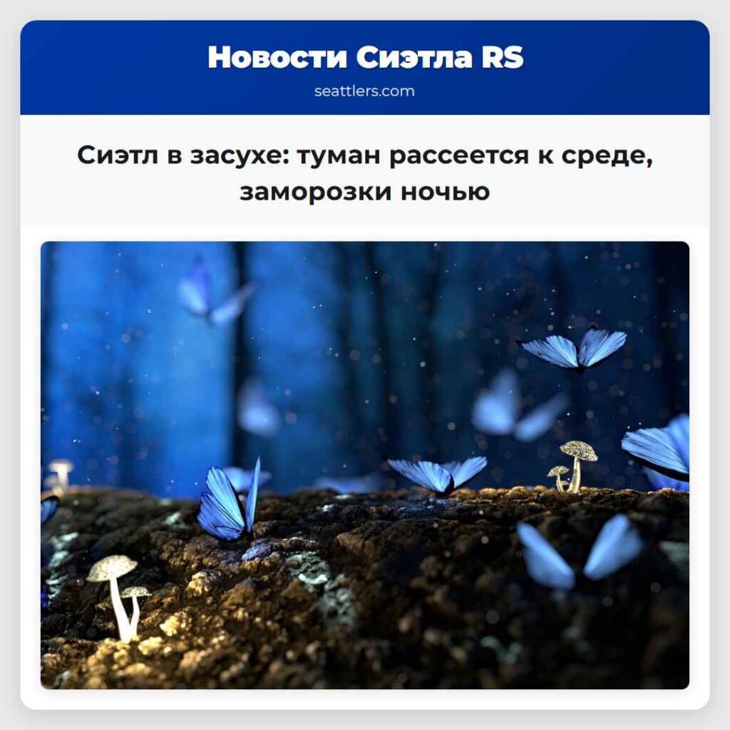 Сиэтл в засухе: туман рассеется к среде,