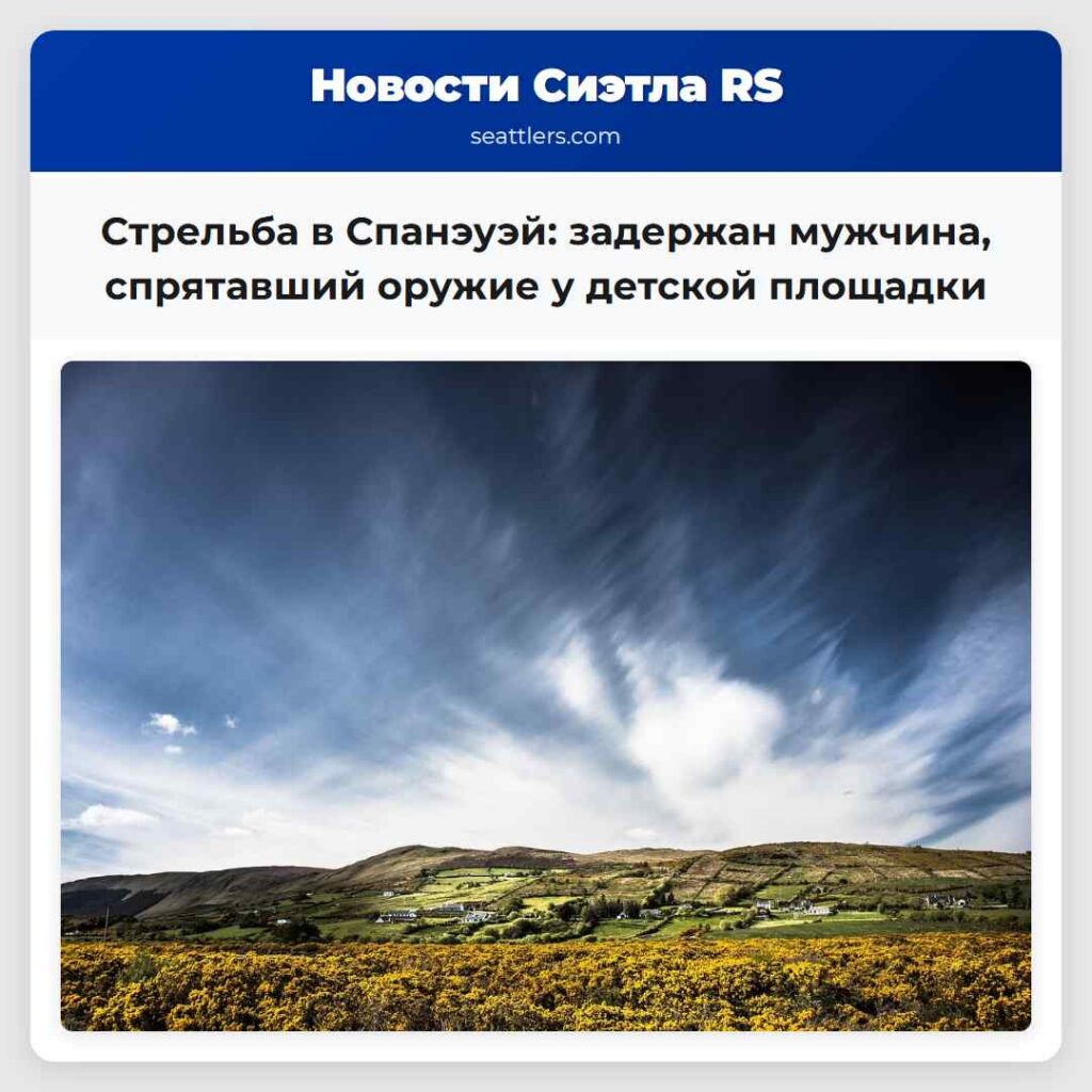 Стрельба в Спанэуэй: задержан мужчина, спрятавший