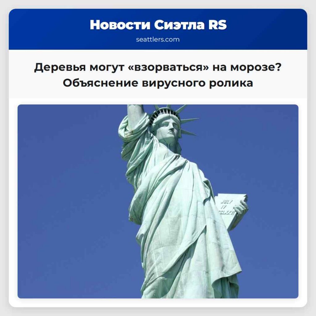 Деревья могут «взорваться» на морозе? Объяснение