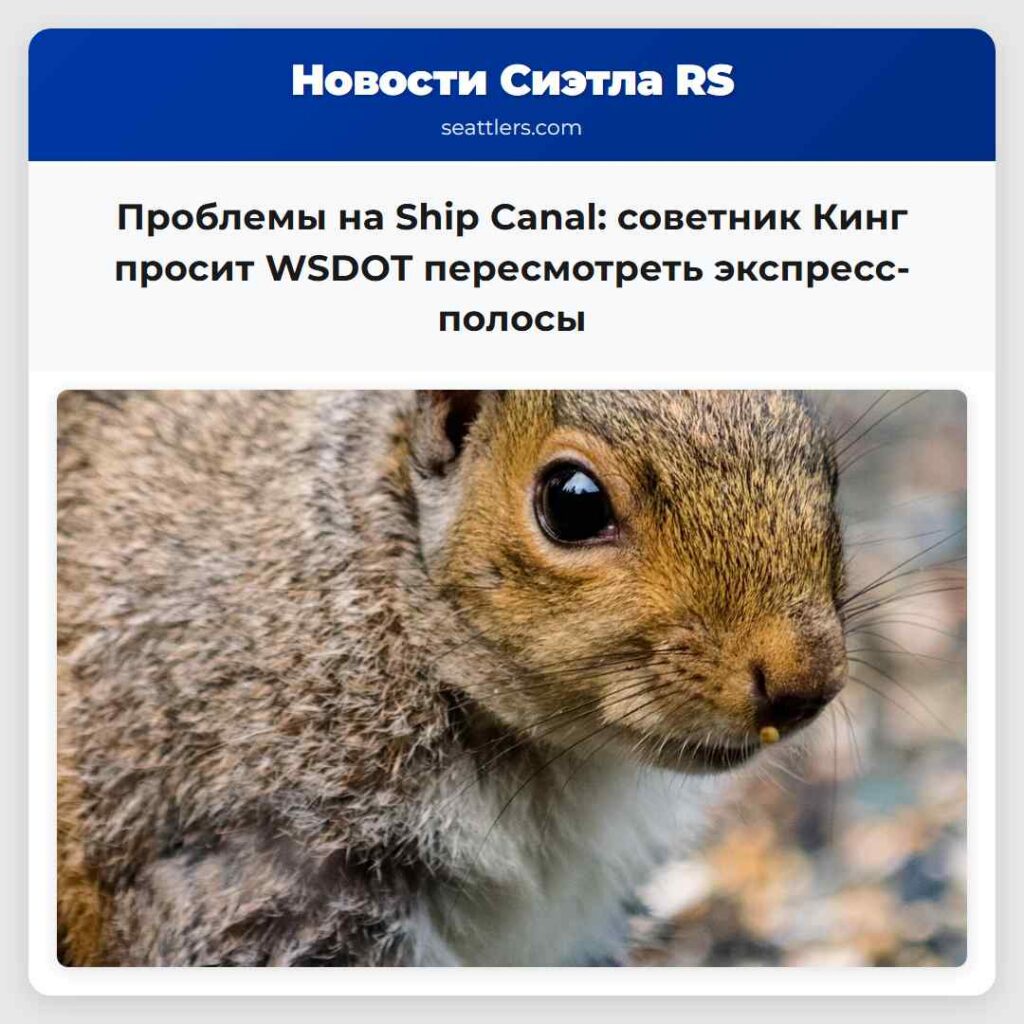 Проблемы на Ship Canal: советник Кинг просит