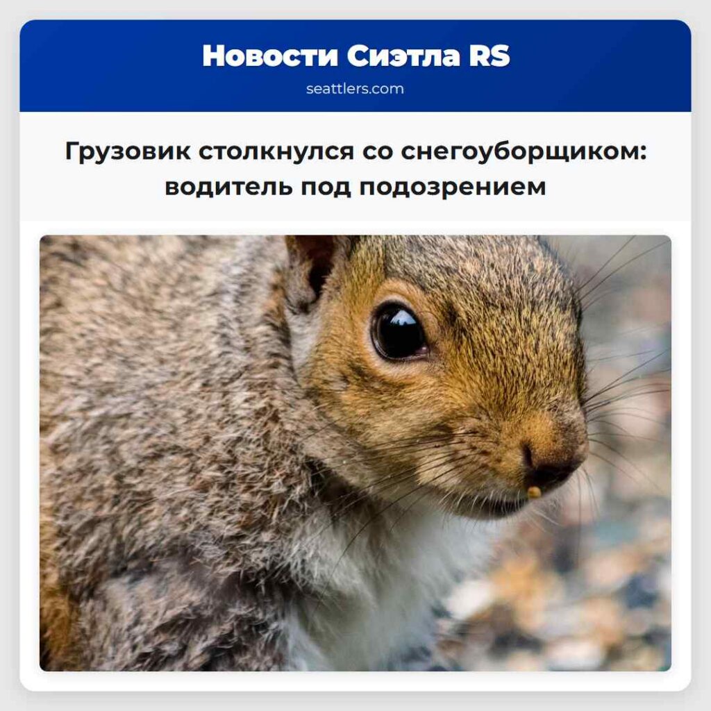 Грузовик столкнулся со снегоуборщиком: водитель