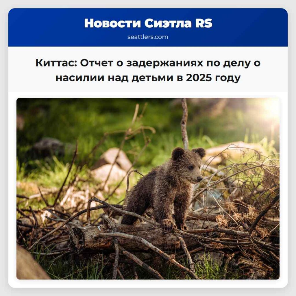 Киттас: Отчет о задержаниях по делу о насилии над