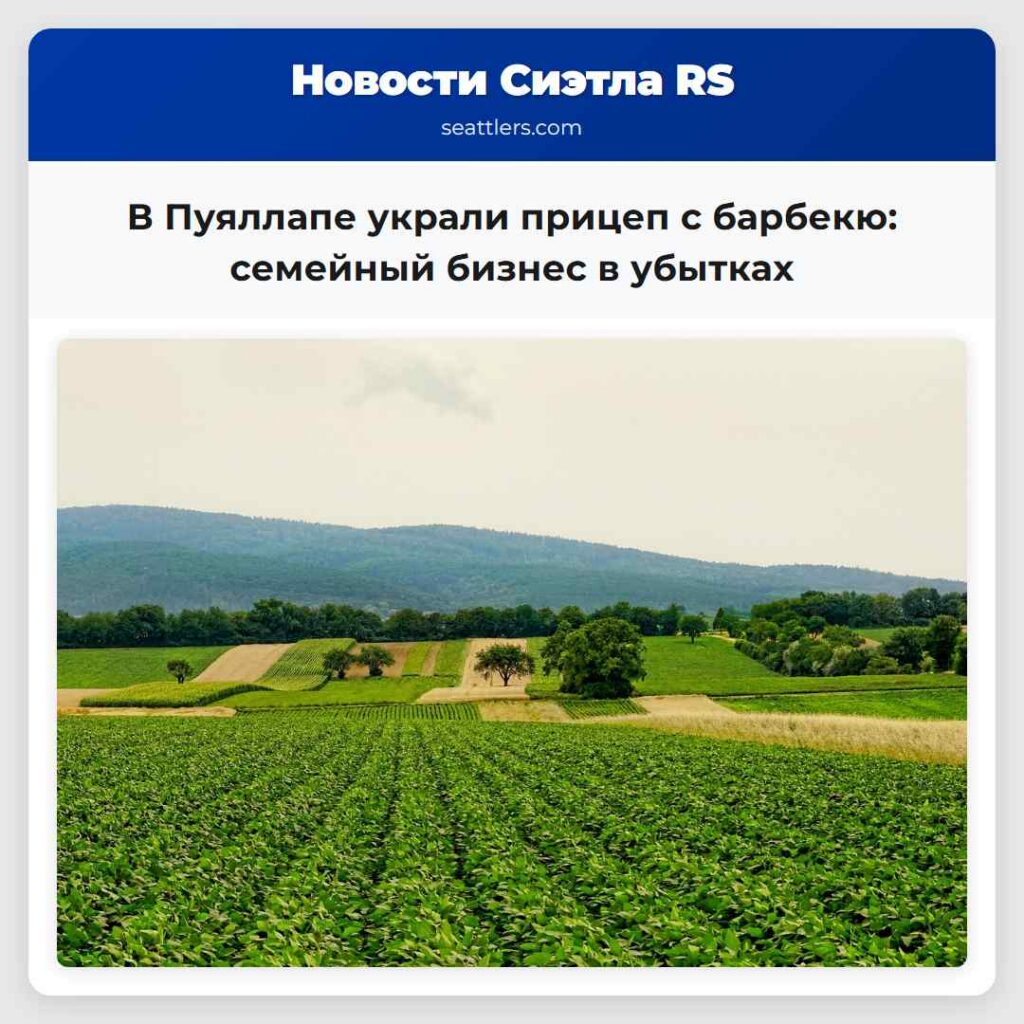 В Пуяллапе украли прицеп с барбекю: семейный