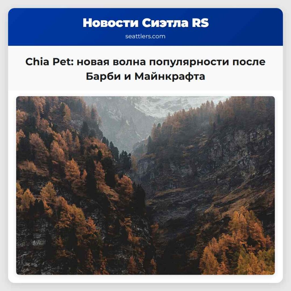Chia Pet: новая волна популярности после Барби и