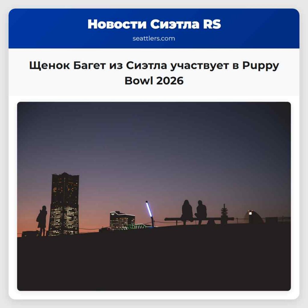 Щенок Багет из Сиэтла участвует в Puppy Bowl 2026