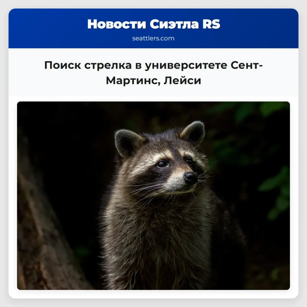 Поиск стрелка в университете Сент-Мартинс, Лейси