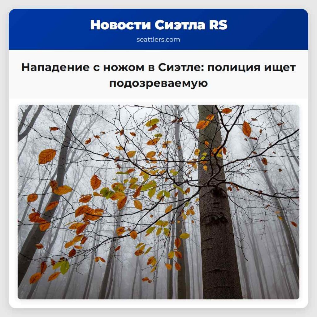 Нападение с ножом в Сиэтле: полиция ищет