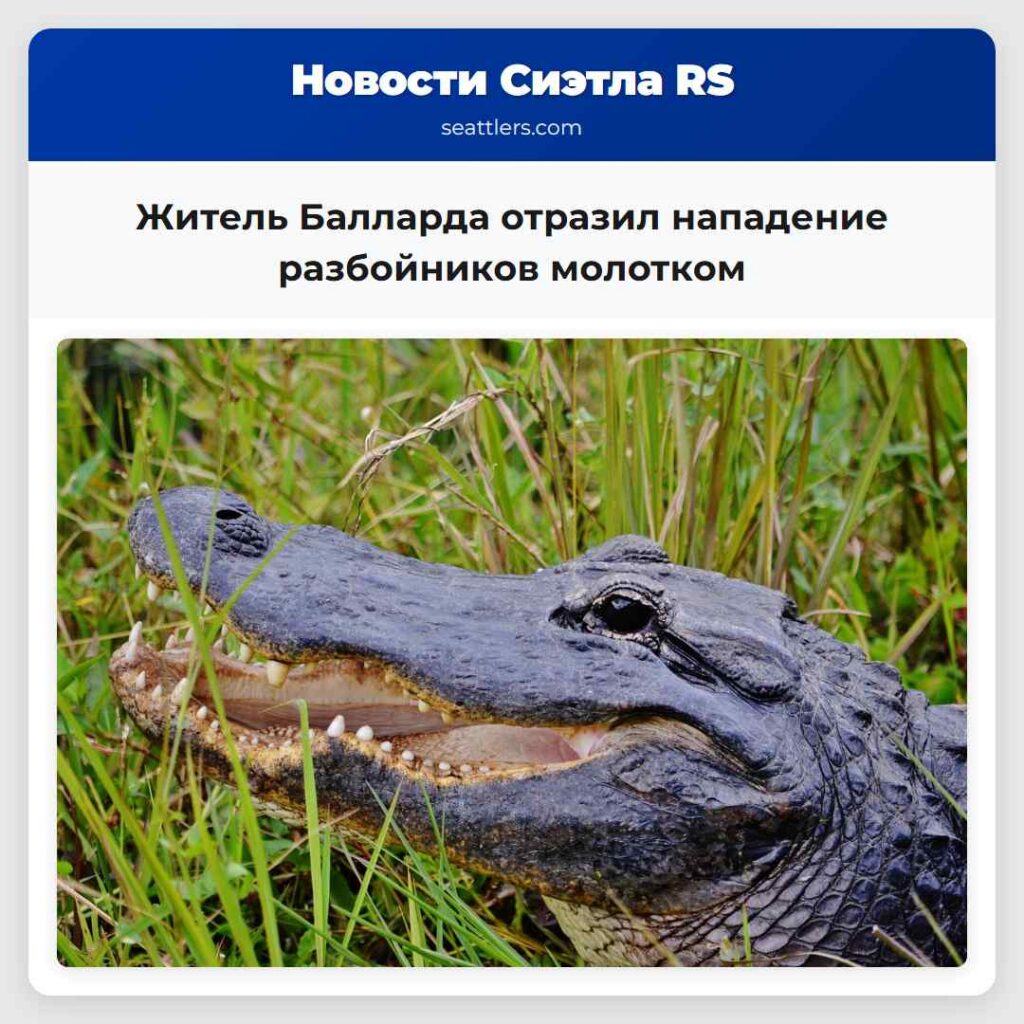 Житель Балларда отразил нападение разбойников