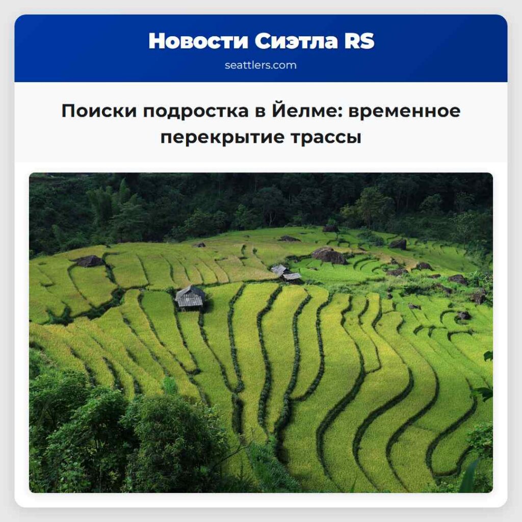 Поиски подростка в Йелме: временное перекрытие