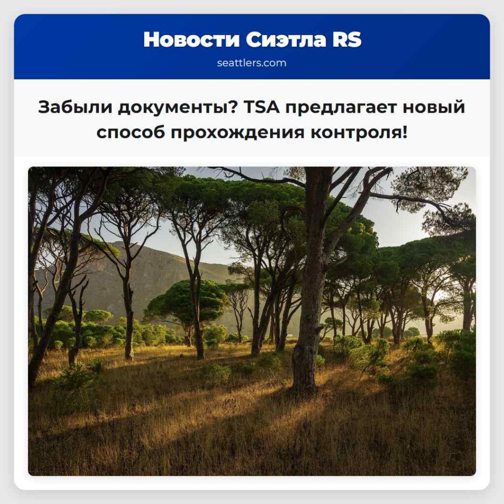 Забыли документы? TSA предлагает новый способ