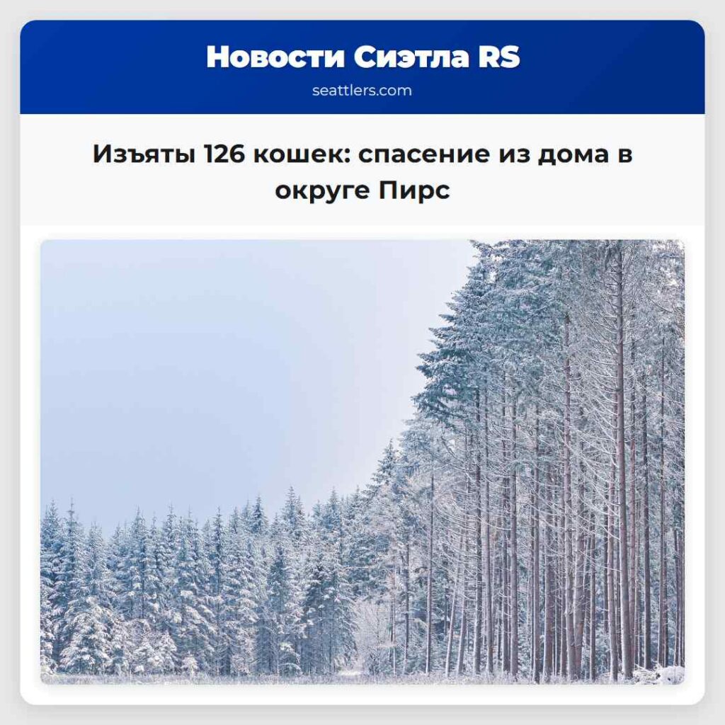 Изъяты 126 кошек: спасение из дома в округе Пирс