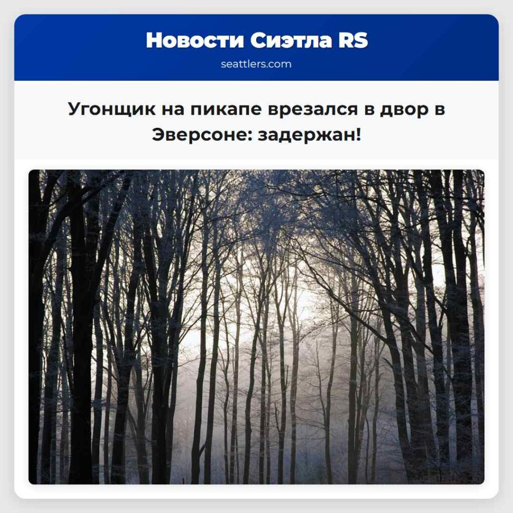 Угонщик на пикапе врезался в двор в Эверсоне: