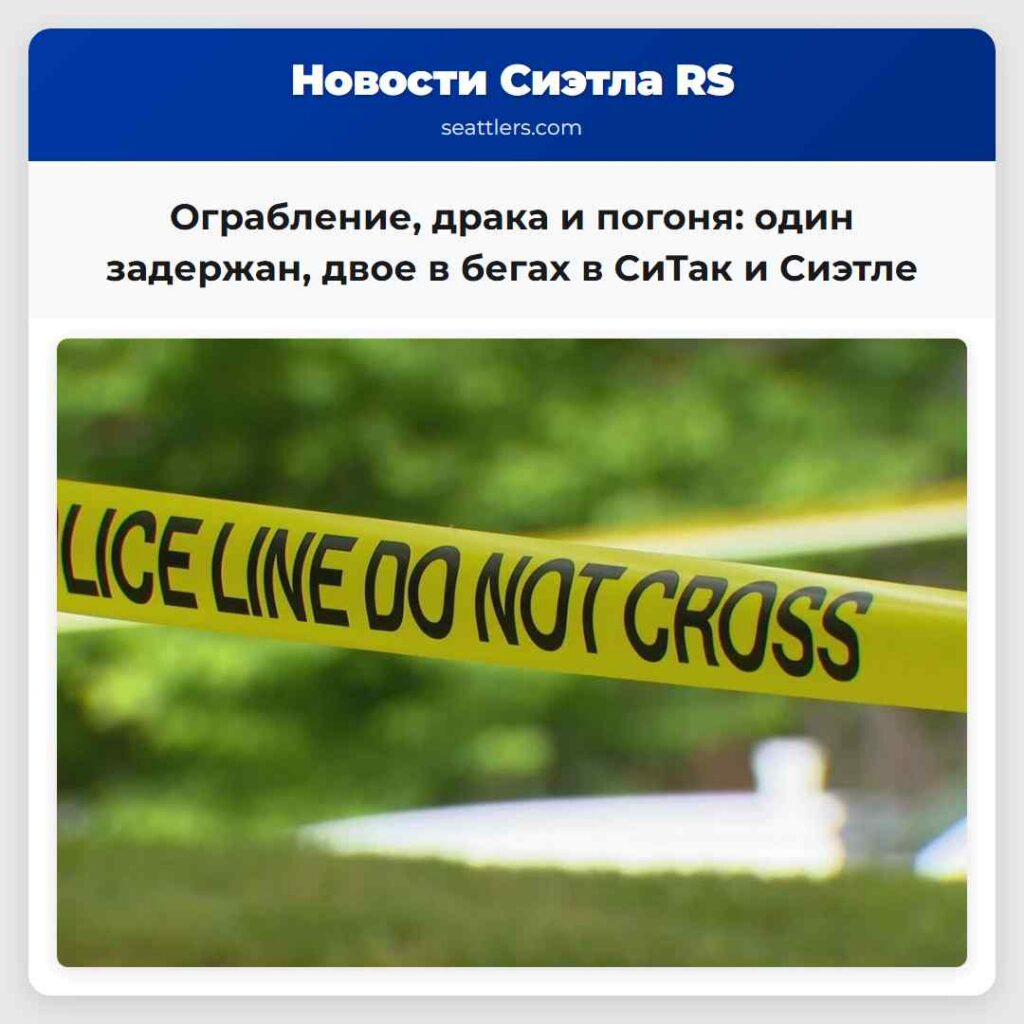 Ограбление, драка и погоня: один задержан, двое в