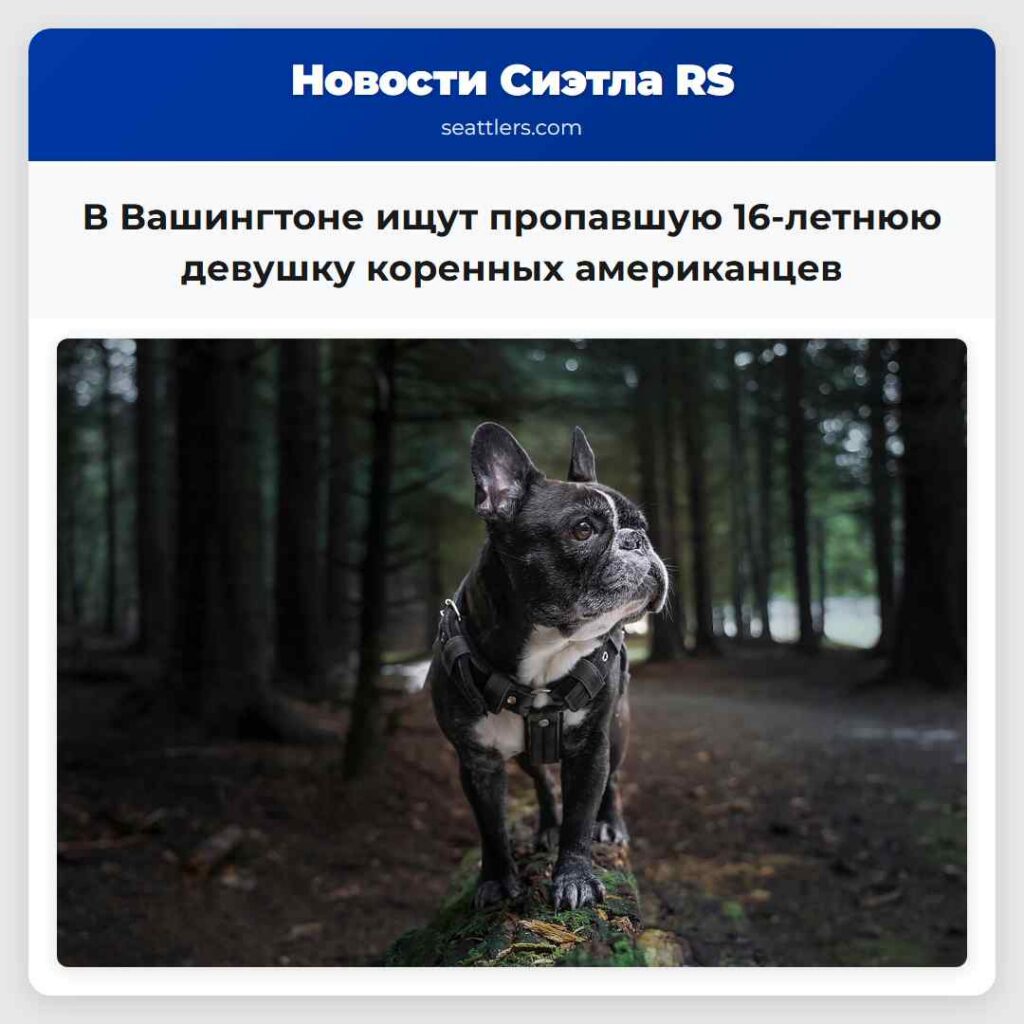 В Вашингтоне ищут пропавшую 16-летнюю девушку