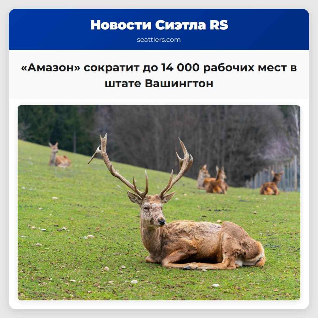 «Амазон» сократит до 14 000 рабочих мест в штате