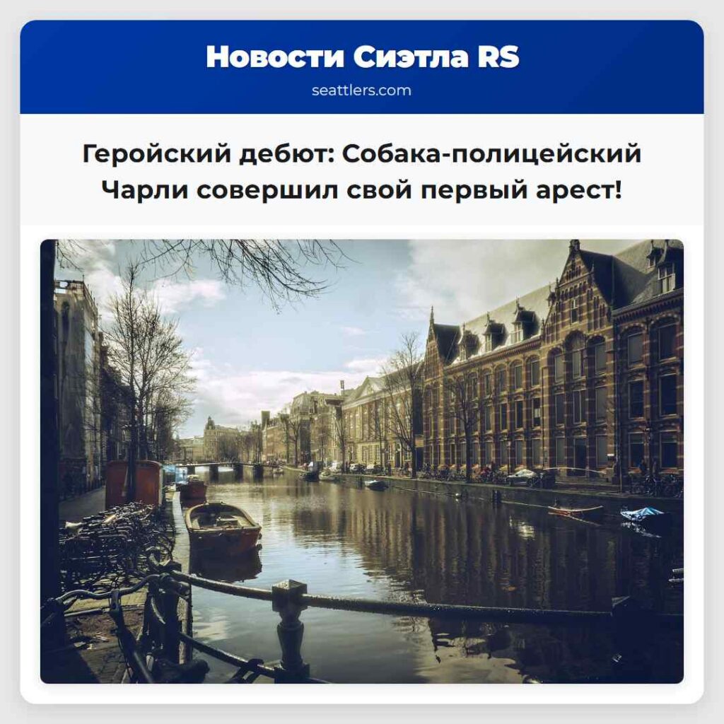 Геройский дебют: Собака-полицейский Чарли