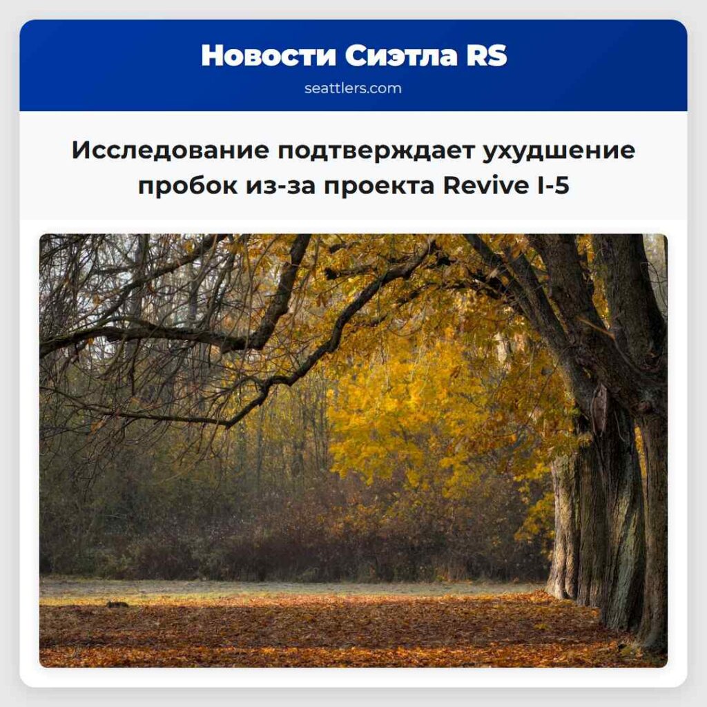 Исследование подтверждает ухудшение пробок из-за