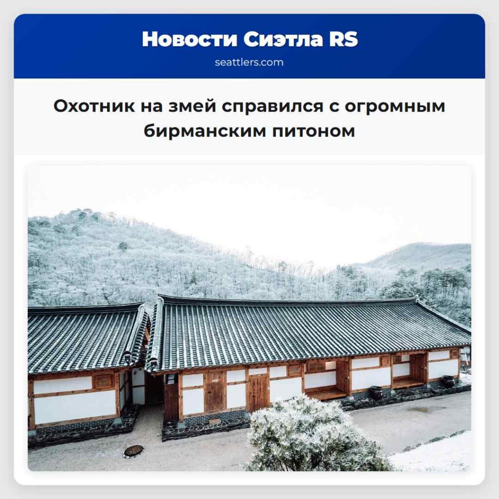 Охотник на змей справился с огромным бирманским