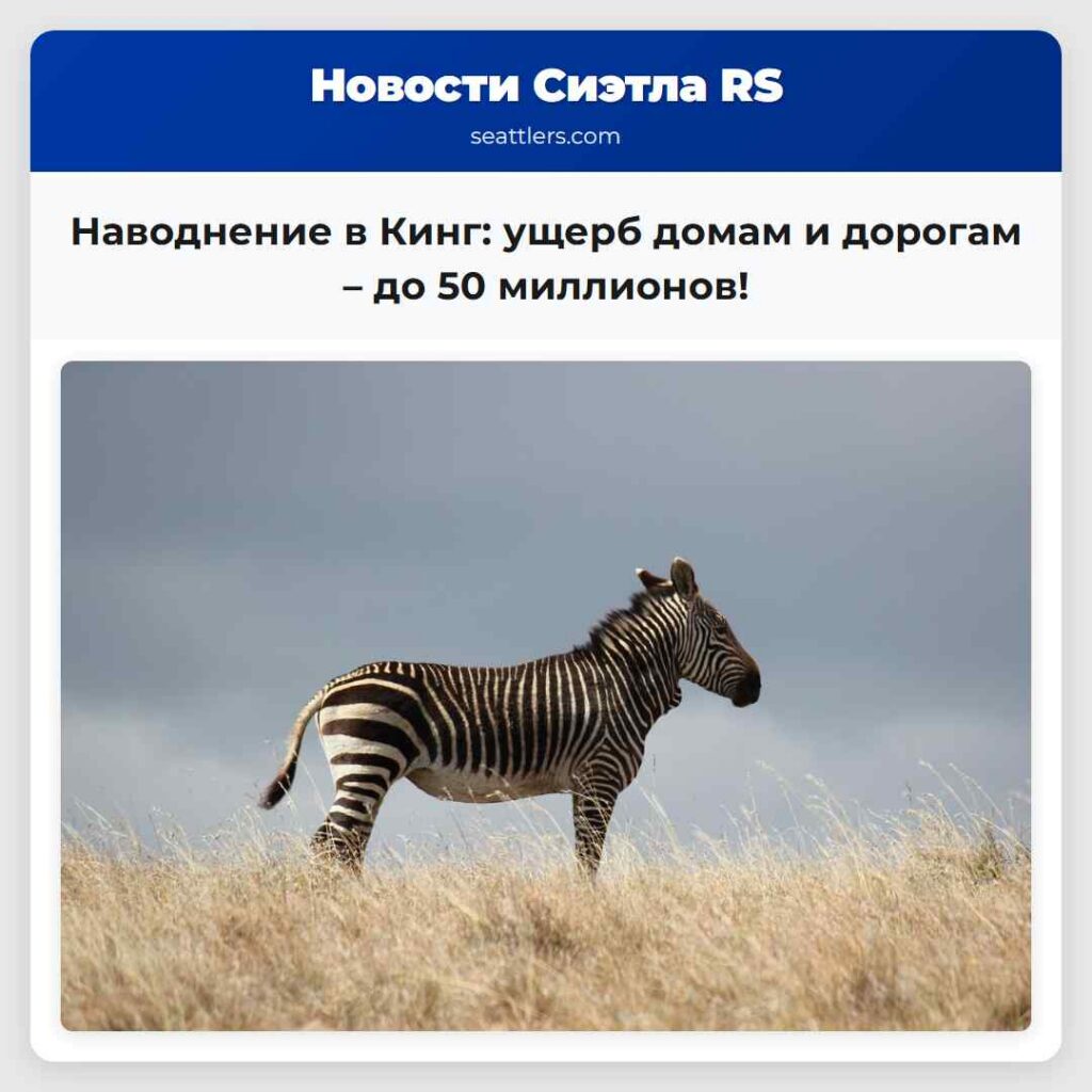 Наводнение в Кинг: ущерб домам и дорогам – до 50