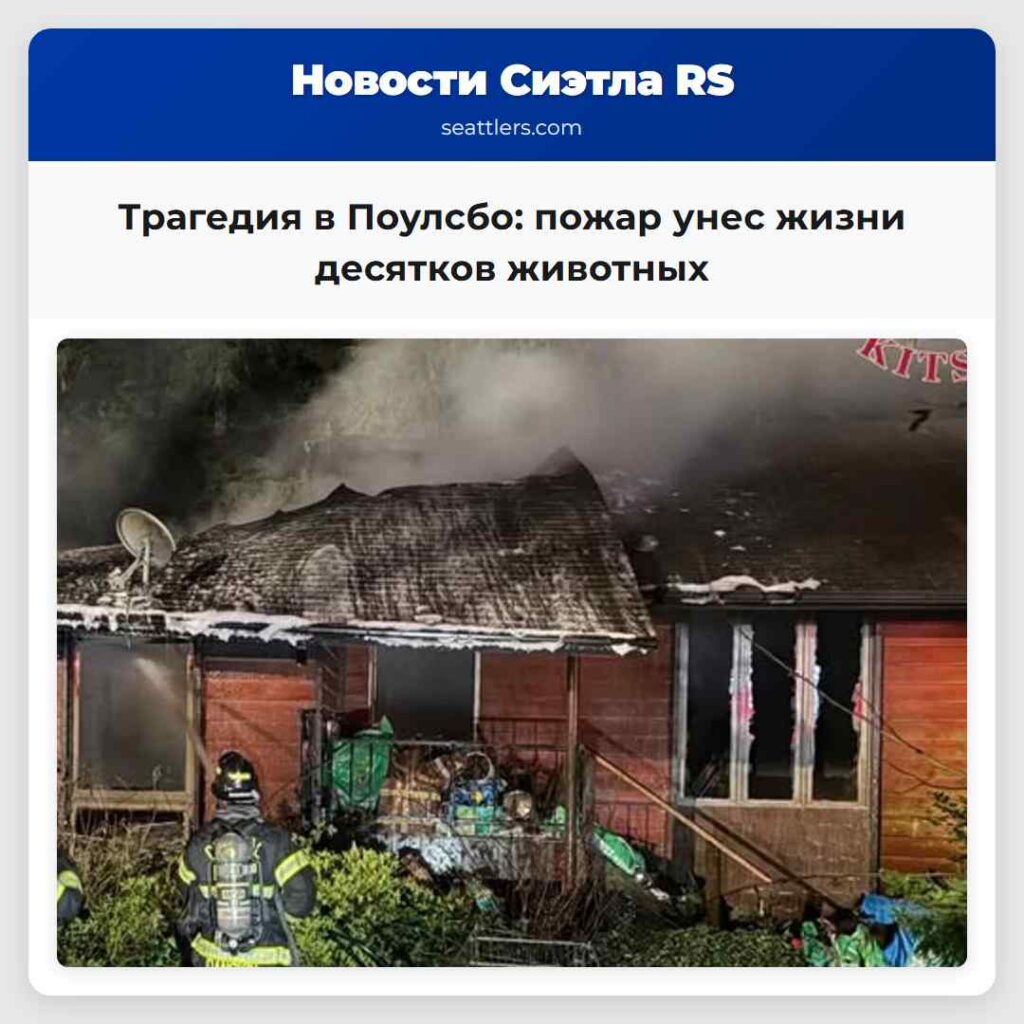 Трагедия в Поулсбо: пожар унес жизни десятков