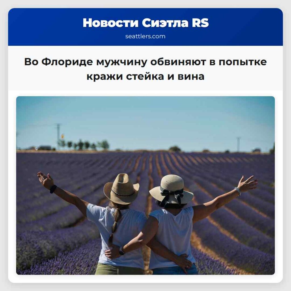 Во Флориде мужчину обвиняют в попытке кражи