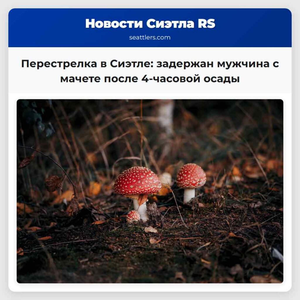 Перестрелка в Сиэтле: задержан мужчина с мачете