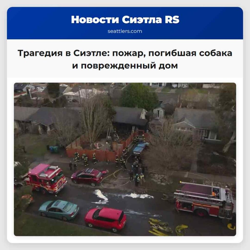 Трагедия в Сиэтле: пожар, погибшая собака и