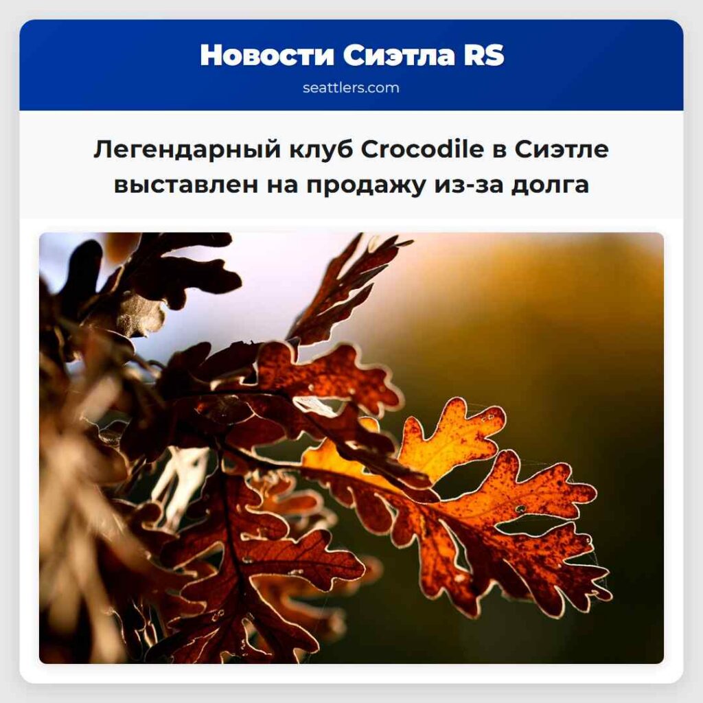 Легендарный клуб Crocodile в Сиэтле выставлен на