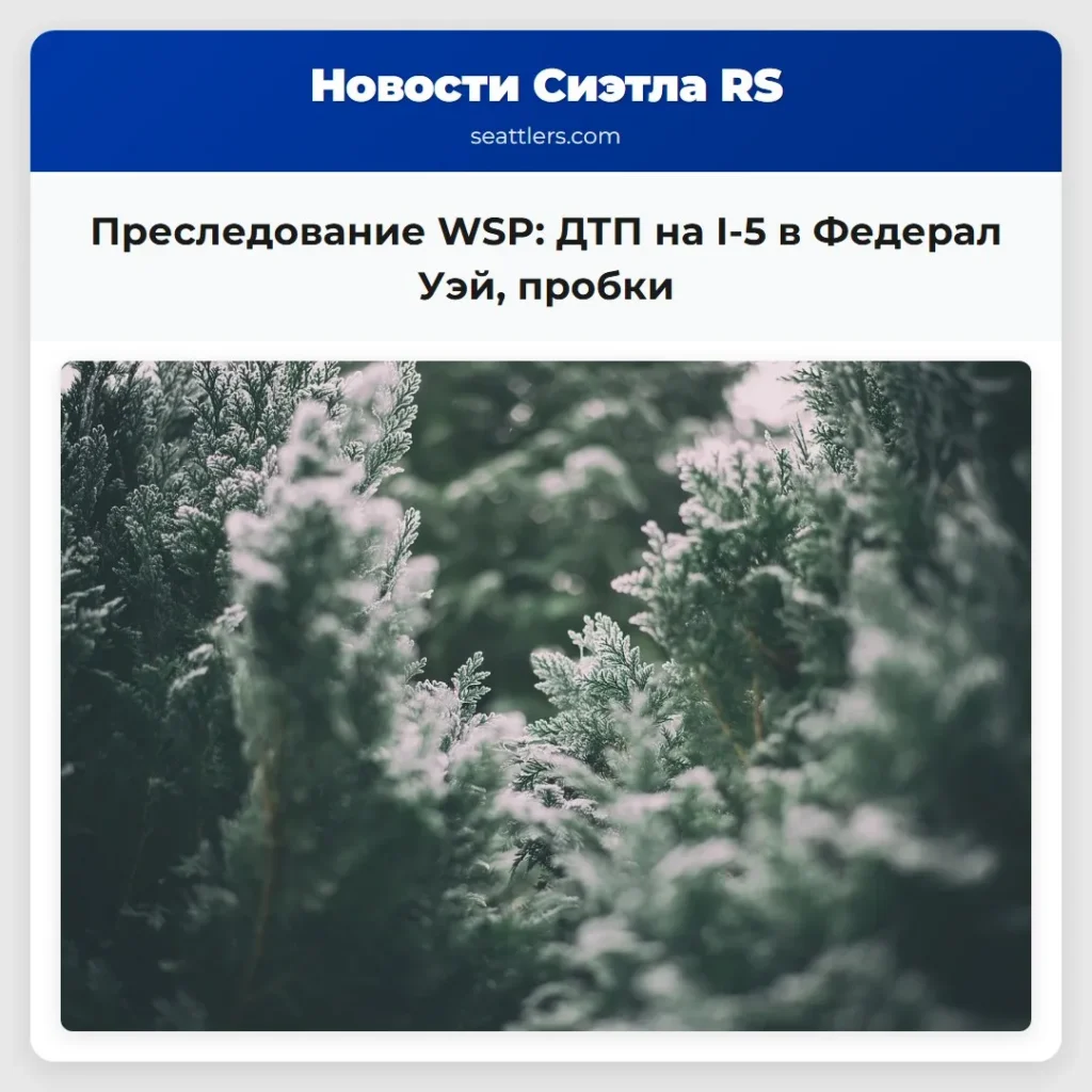 Преследование WSP: ДТП на I-5 в Федерал Уэй,