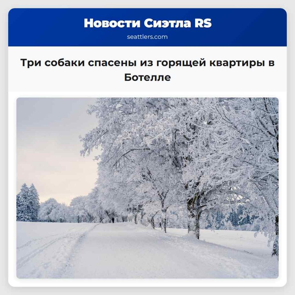 Три собаки спасены из горящей квартиры в Ботелле