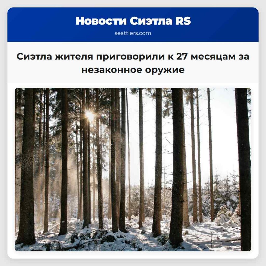 Сиэтла жителя приговорили к 27 месяцам за