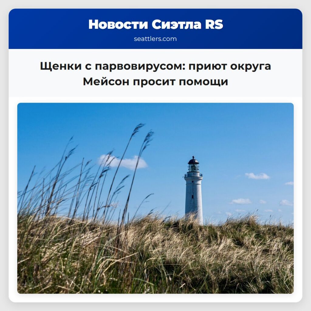 Щенки с парвовирусом: приют округа Мейсон просит