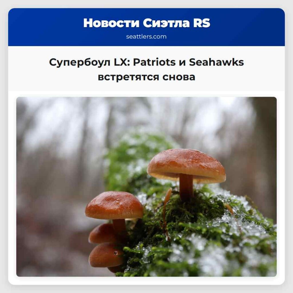 Супербоул LX: Patriots и Seahawks встретятся снова
