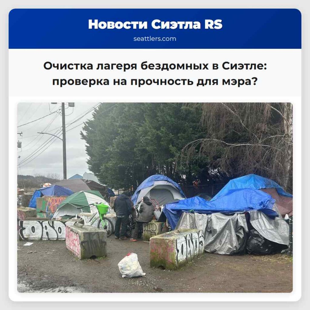 Очистка лагеря бездомных в Сиэтле: проверка на