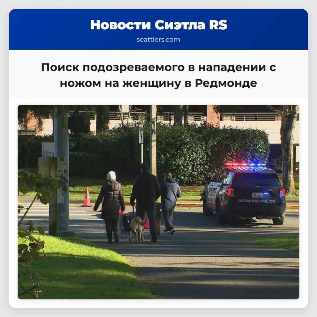 Поиск подозреваемого в нападении с ножом на