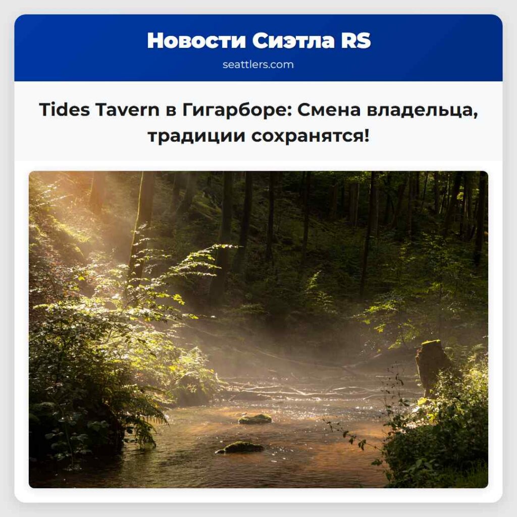Tides Tavern в Гигарборе: Смена владельца,