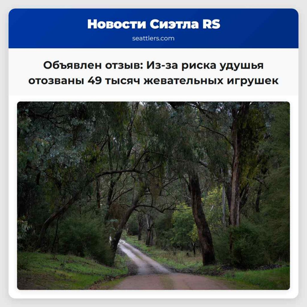 Объявлен отзыв: Из-за риска удушья отозваны 49