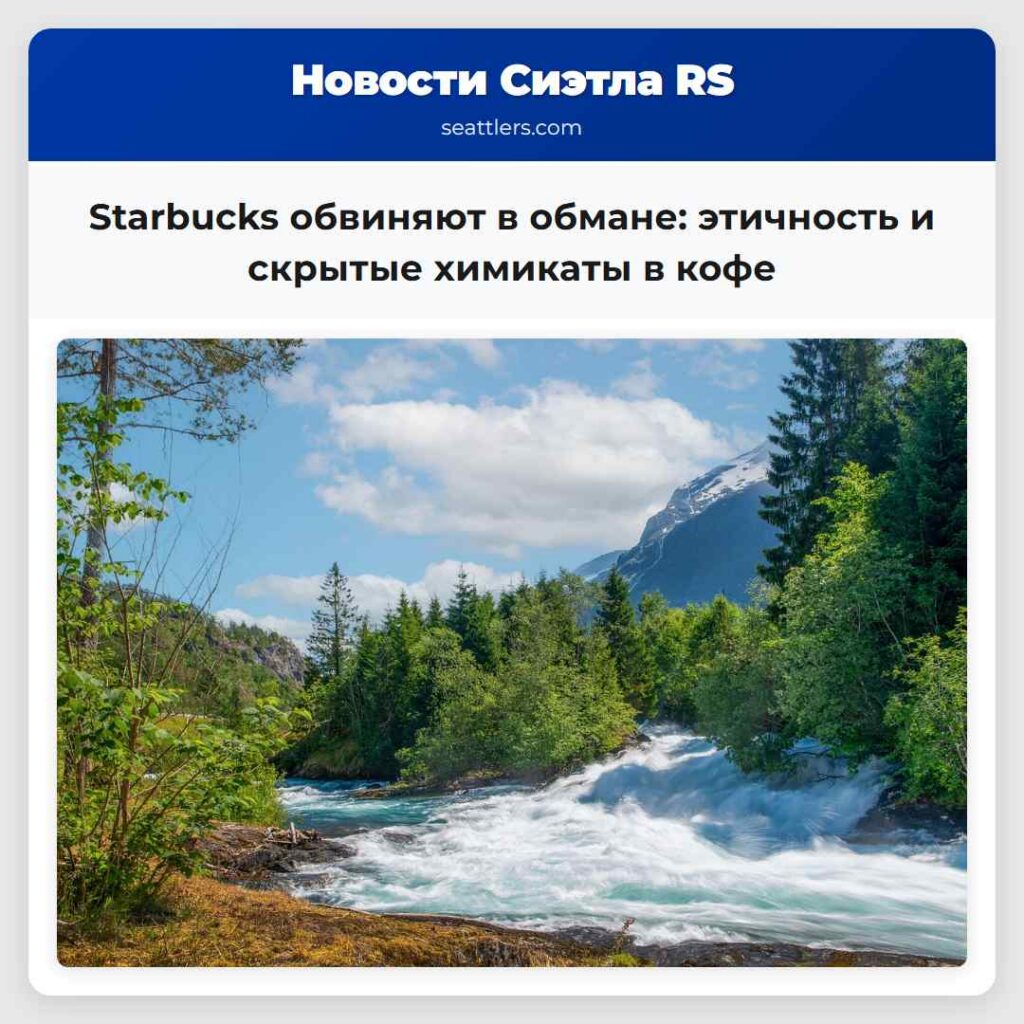 Starbucks обвиняют в обмане: этичность и скрытые