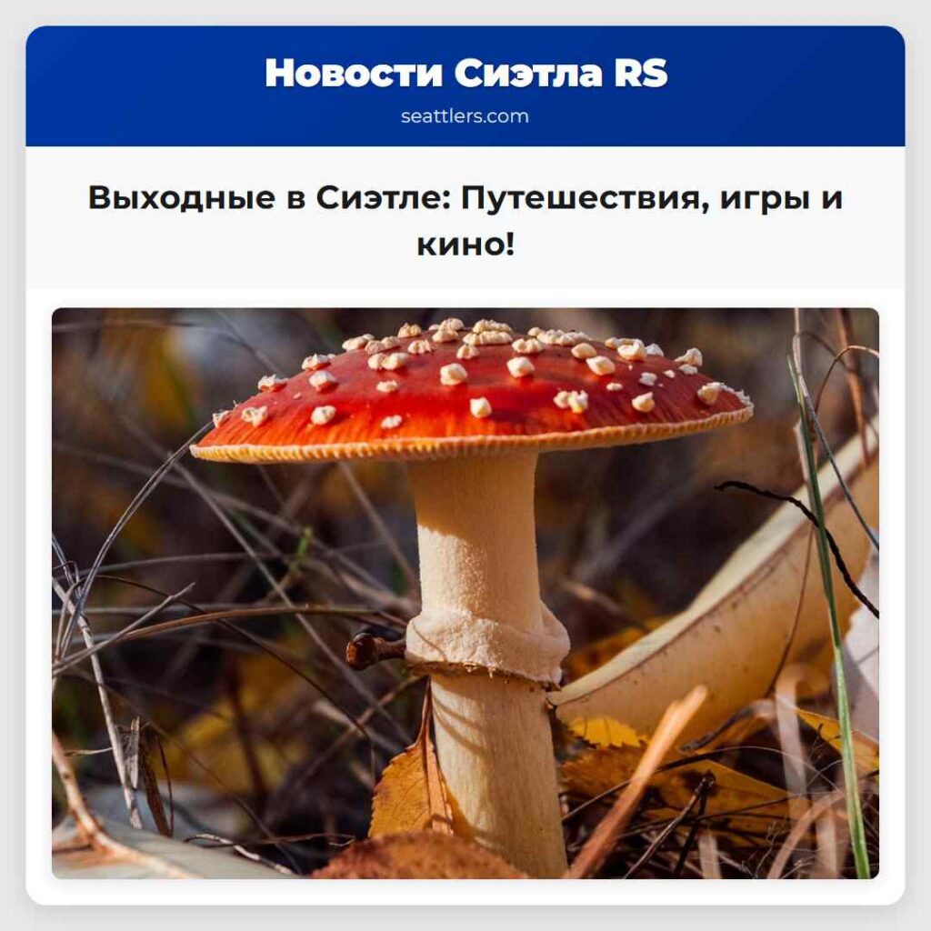 Выходные в Сиэтле: Путешествия, игры и кино!