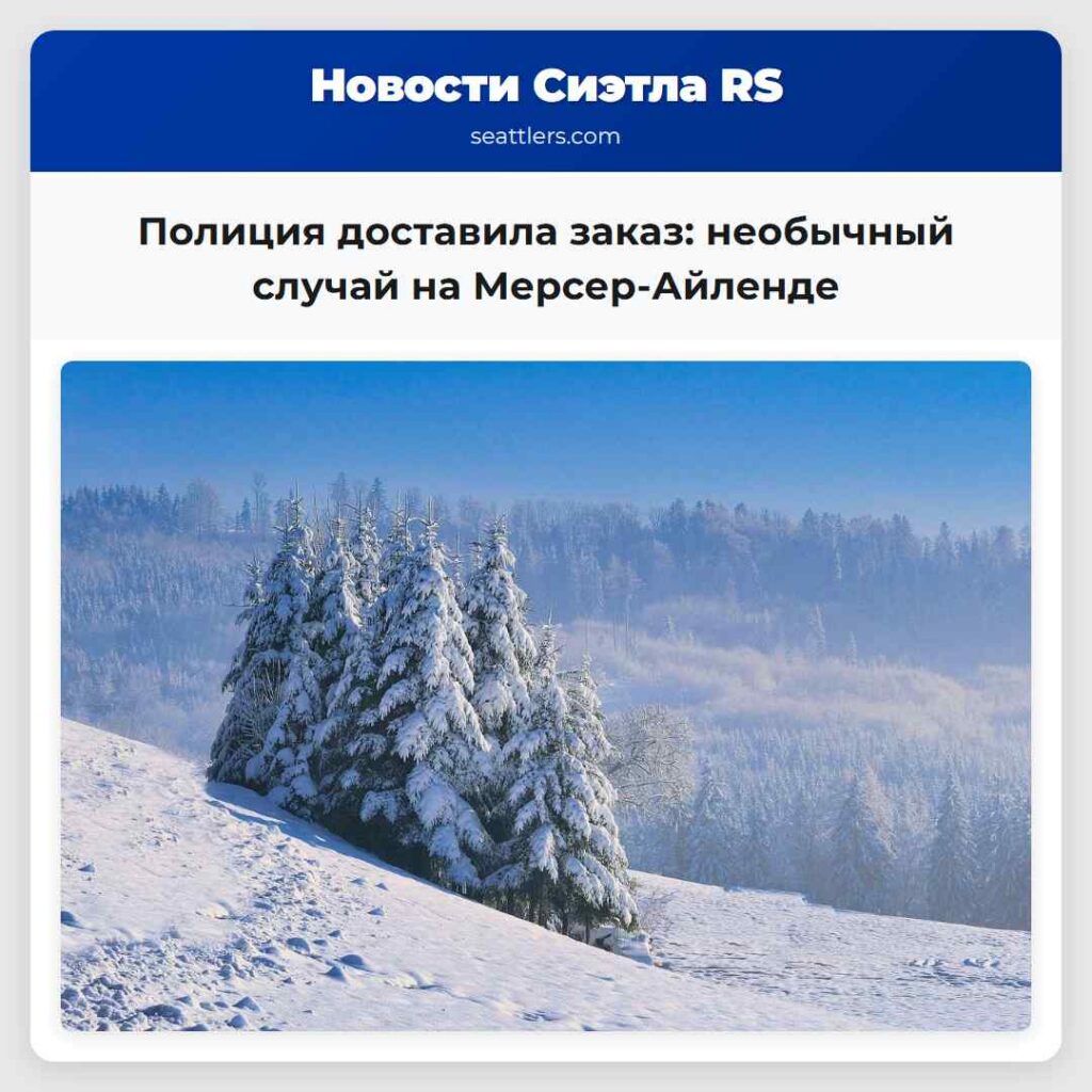 Полиция доставила заказ: необычный случай на