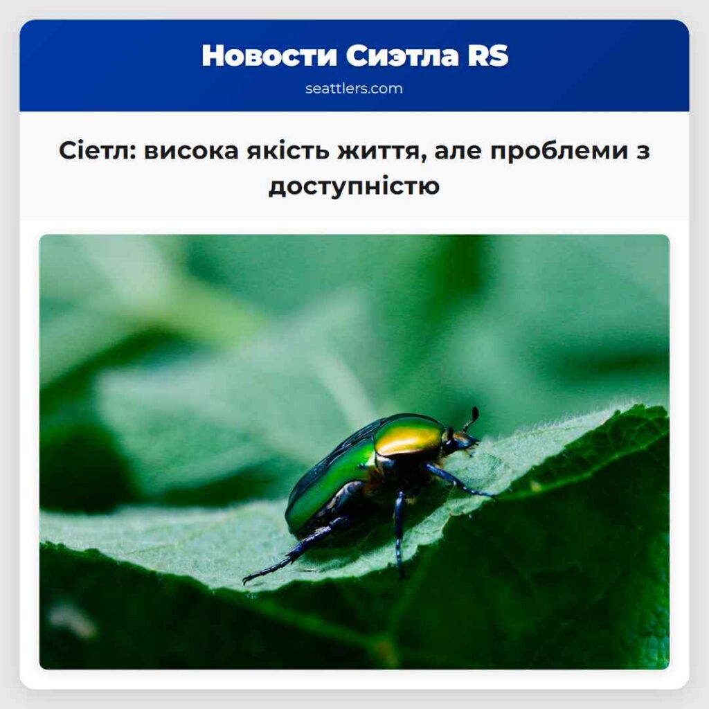 Сіетл: висока якість життя, але проблеми з