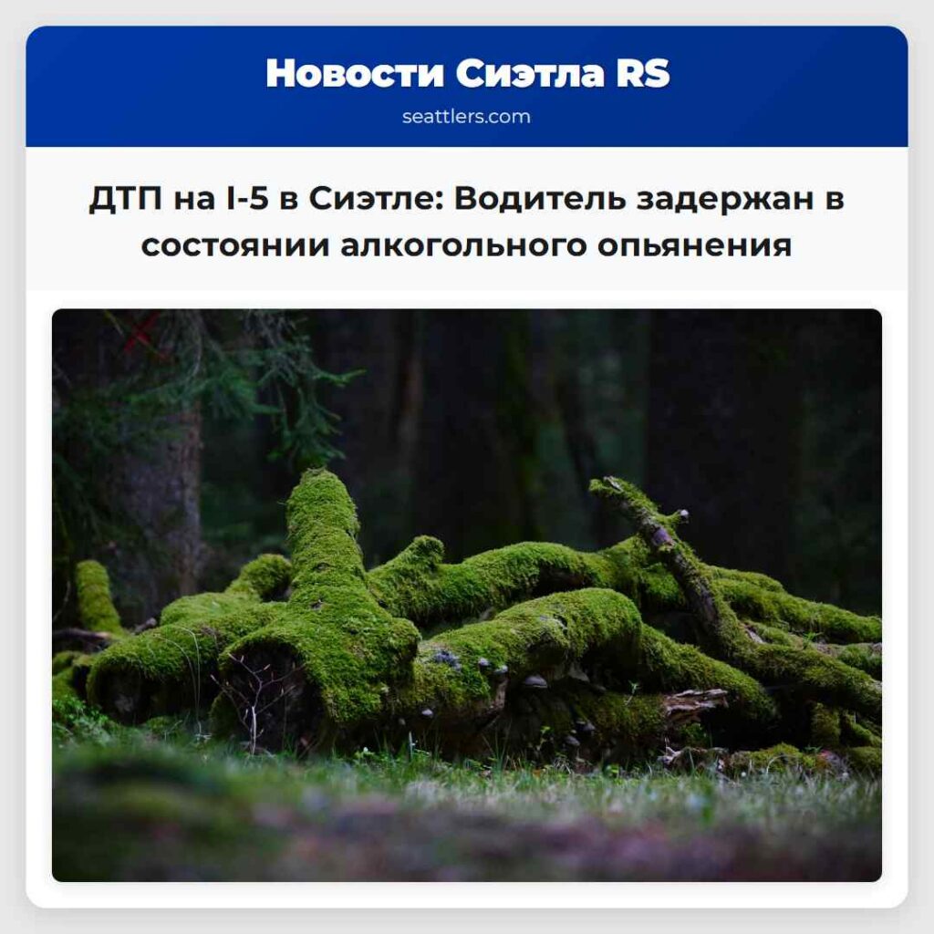 ДТП на I-5 в Сиэтле: Водитель задержан в