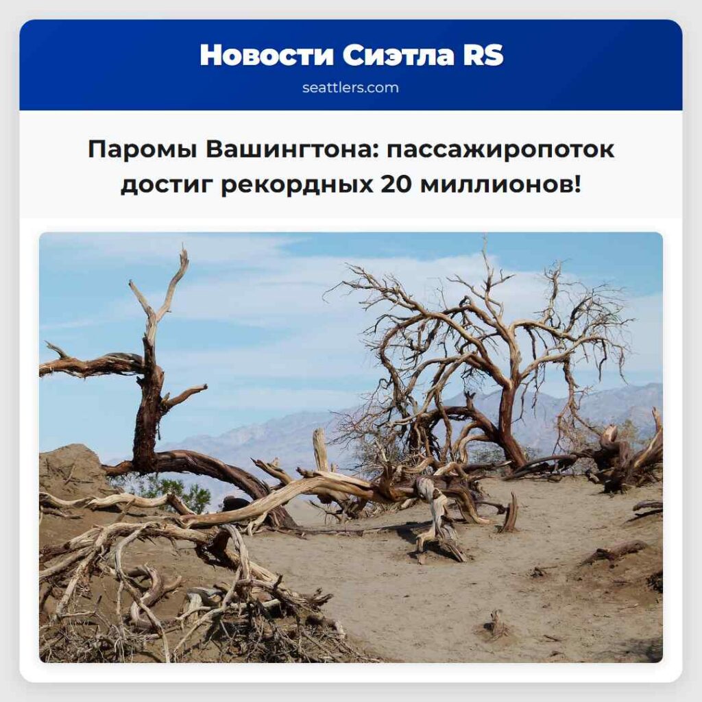 Паромы Вашингтона: пассажиропоток достиг