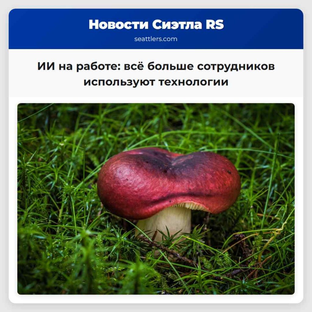 ИИ на работе: всё больше сотрудников используют