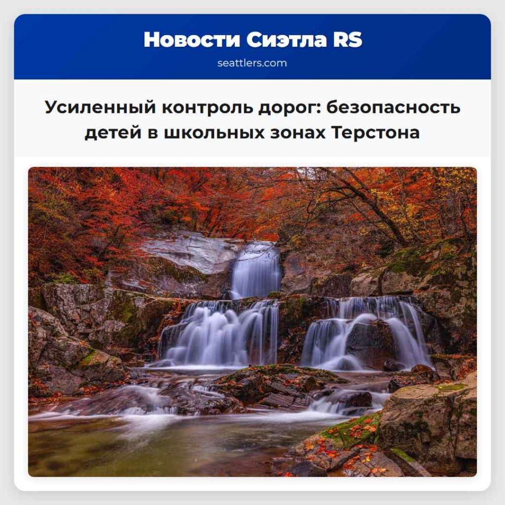 Усиленный контроль дорог: безопасность детей в