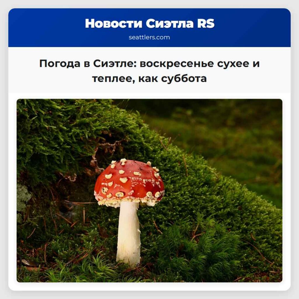 Погода в Сиэтле: воскресенье сухее и теплее, как