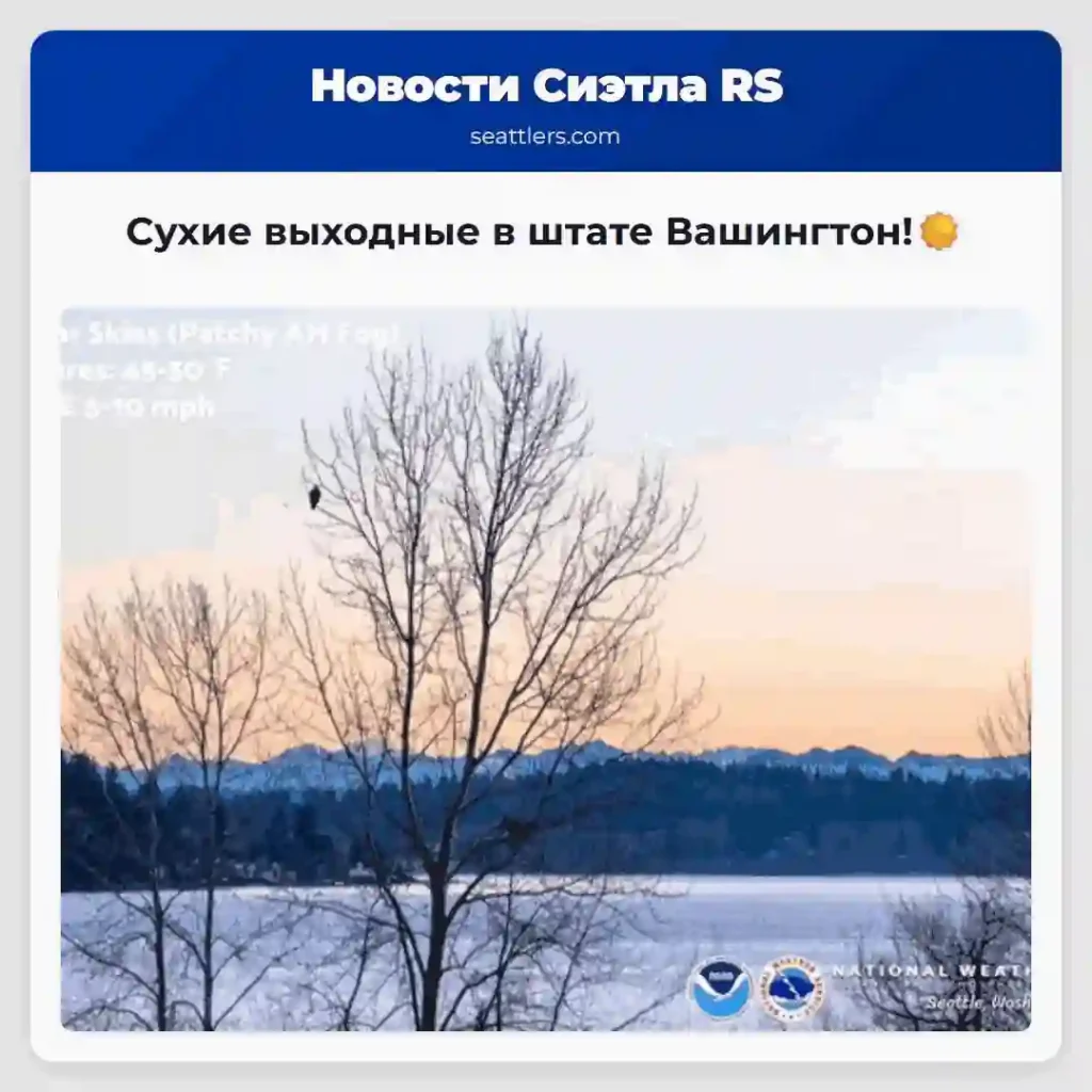 Сухие выходные в штате Вашингтон!☀️